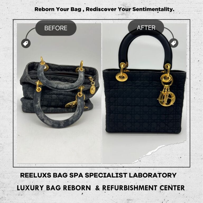 Dior Handbag Fabric Mold Damaged Deep Spa Cleaning & Run Of The Shape Re-structure