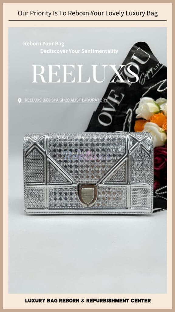Diorama Metallic Handbag Mold Spot Color Oxidation Problem — frame 2