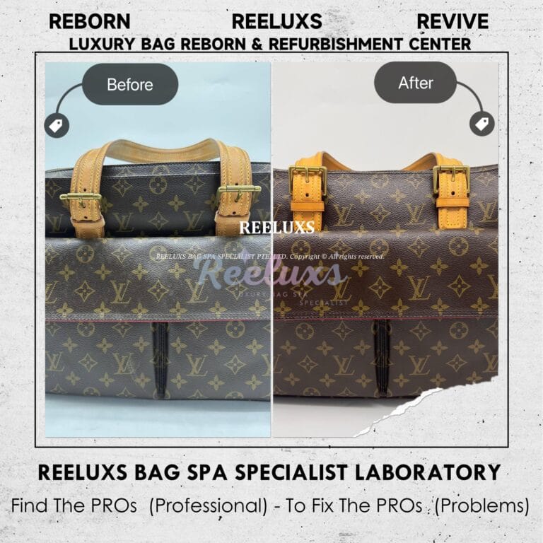 Louis Vuitton Monogram Canvas Multipli-Cite Bag Mold Spot Problem Mold Removal Treatment