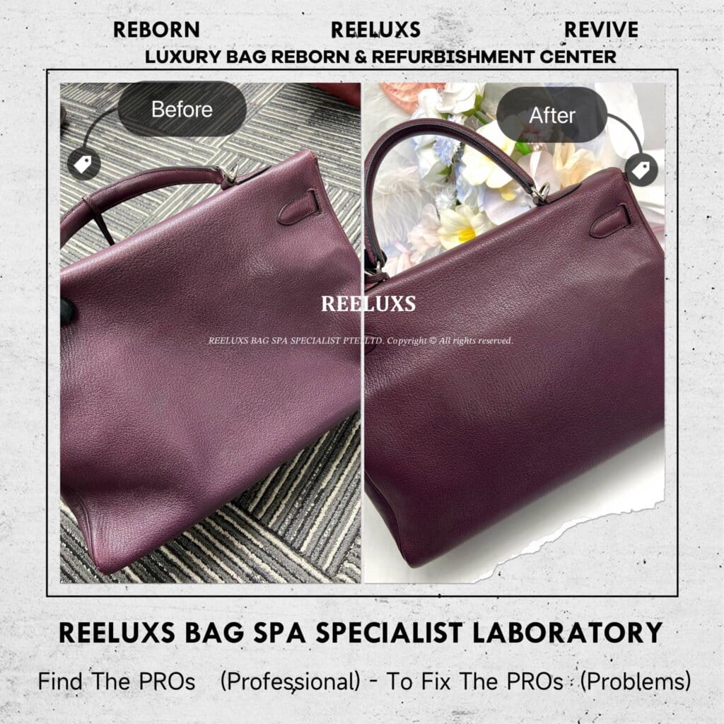 Kelly Handbag Leather Faded White Mold Problem Nano Mold Removal — frame 2