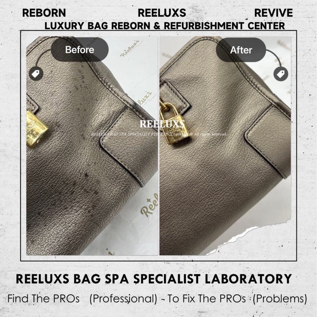 Leather Handbag Metallic Mold Attack Damaged — frame 3