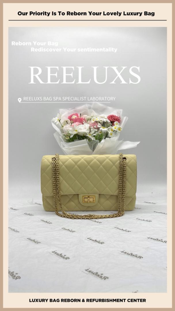 Reissue Patent Flap Bag Patent Mold Damaged Oxidation, Patent Cracked Broken Inner… — frame 9