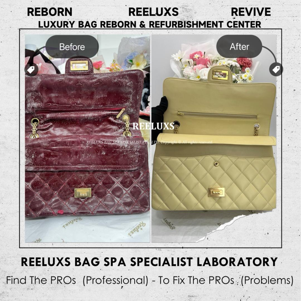 Reissue Patent Flap Bag Patent Mold Damaged Oxidation, Patent Cracked Broken Inner… — frame 3