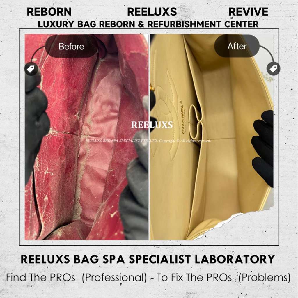 Reissue Patent Flap Bag Patent Mold Damaged Oxidation, Patent Cracked Broken Inner… — frame 4