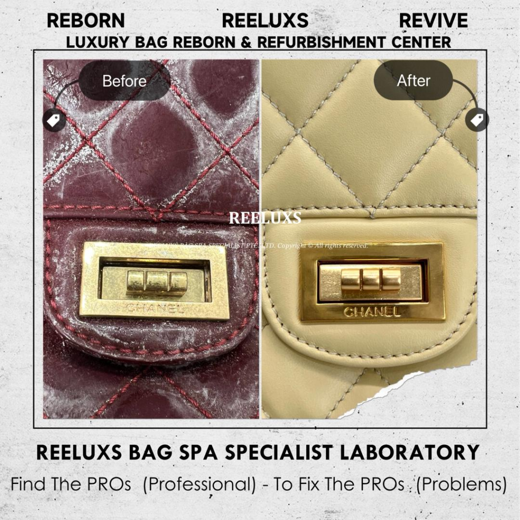 Reissue Patent Flap Bag Patent Mold Damaged Oxidation, Patent Cracked Broken Inner… — frame 7