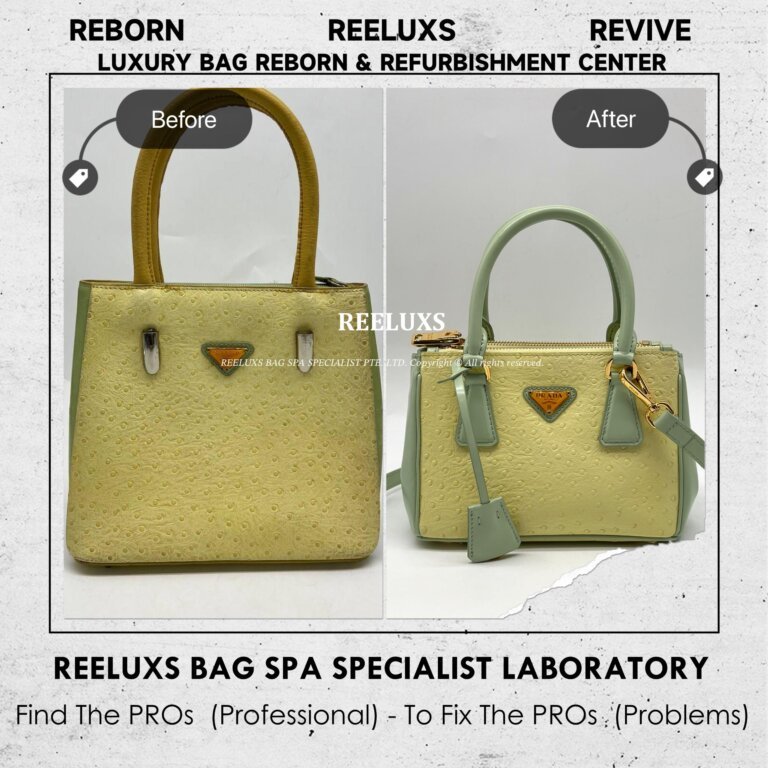Prada Ostrich-Embossed Leather Top Handle Bag Customized To PRADA Mini Galleria Handbag