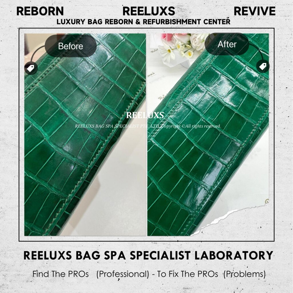 Kelly Pochette Exotic Crocodile 🐊 Leather Recover Treatments | REELUXS — frame 2