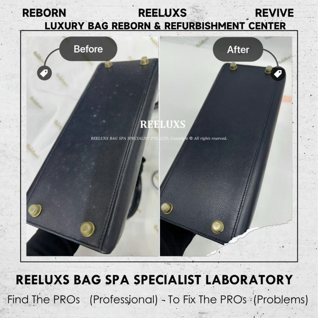 Kelly Handbag Leather White Mold Spot Nano Mold Removal Treatment | REELUXS — frame 5